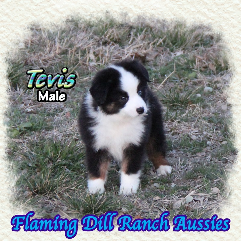 image_639163_1772854356521