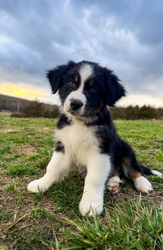 image_undefined_1772932426415