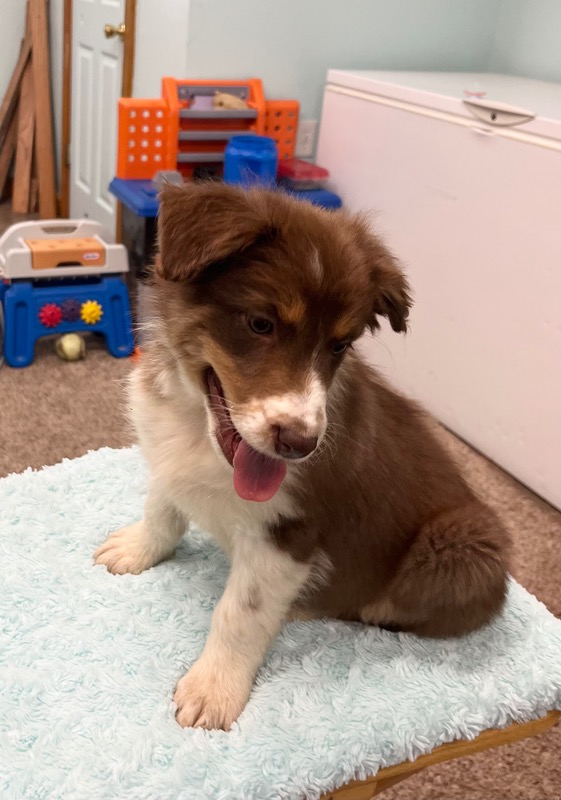 image_637435_1773348669770