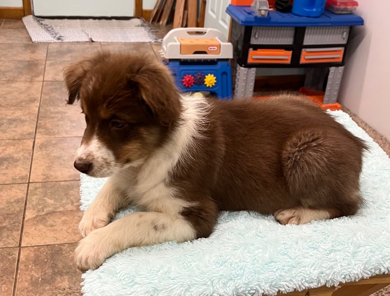 image_637435_1773348669773