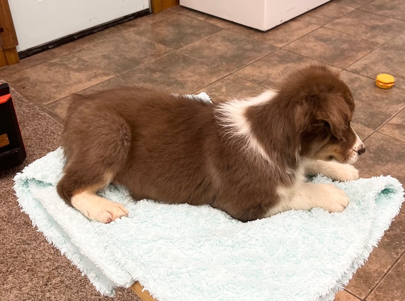 image_637435_1773348669774