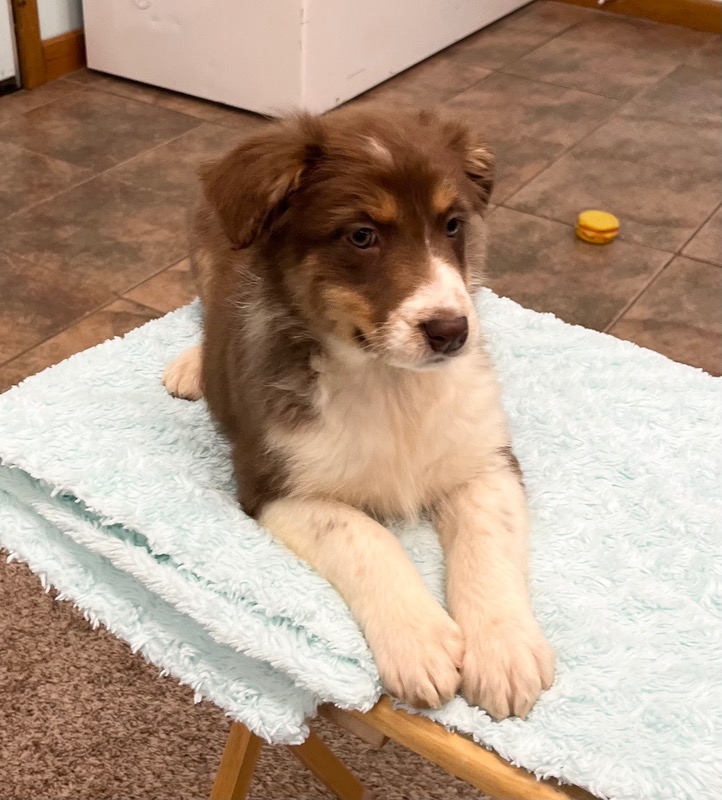 image_637435_1773348669775