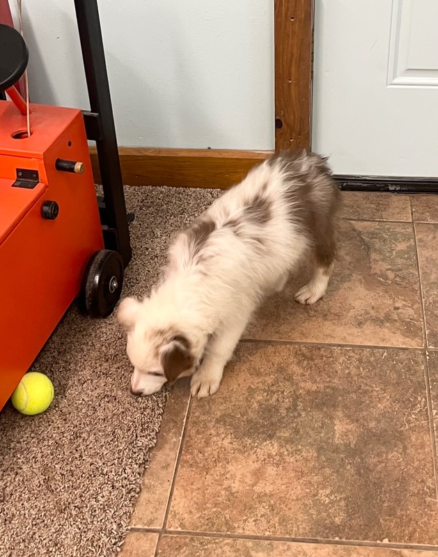 image_637434_1773349332814