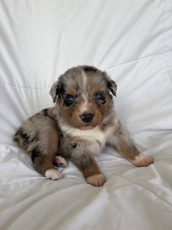 image_645890_1775836095715