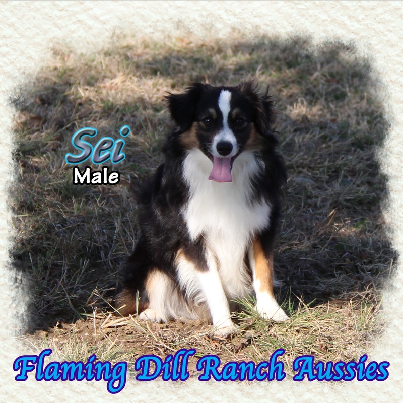 image_610901_1765352811840