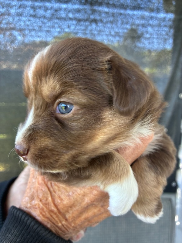 image_646393_1776713903579