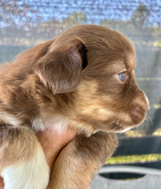 image_646393_1776713903580