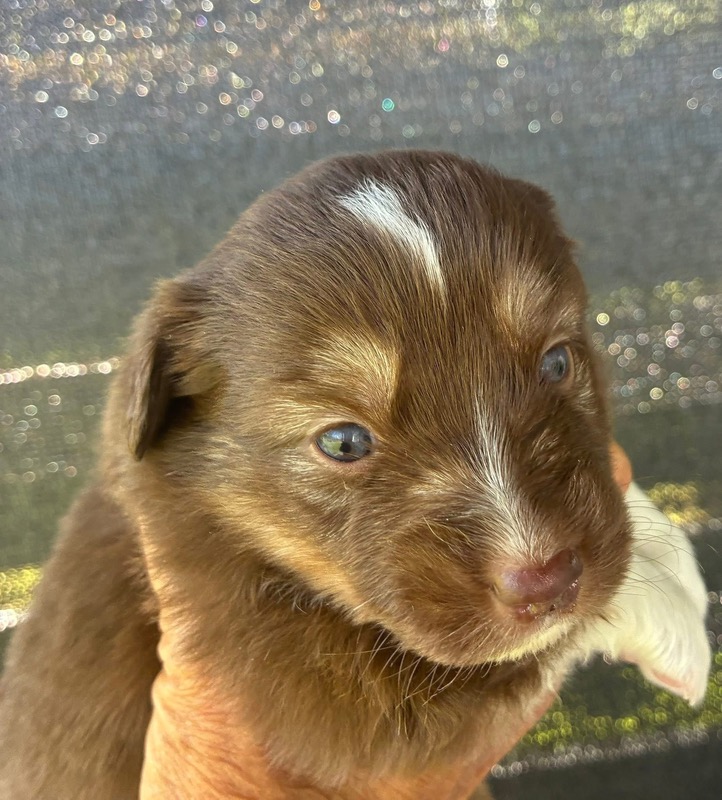 image_646393_1776713903582