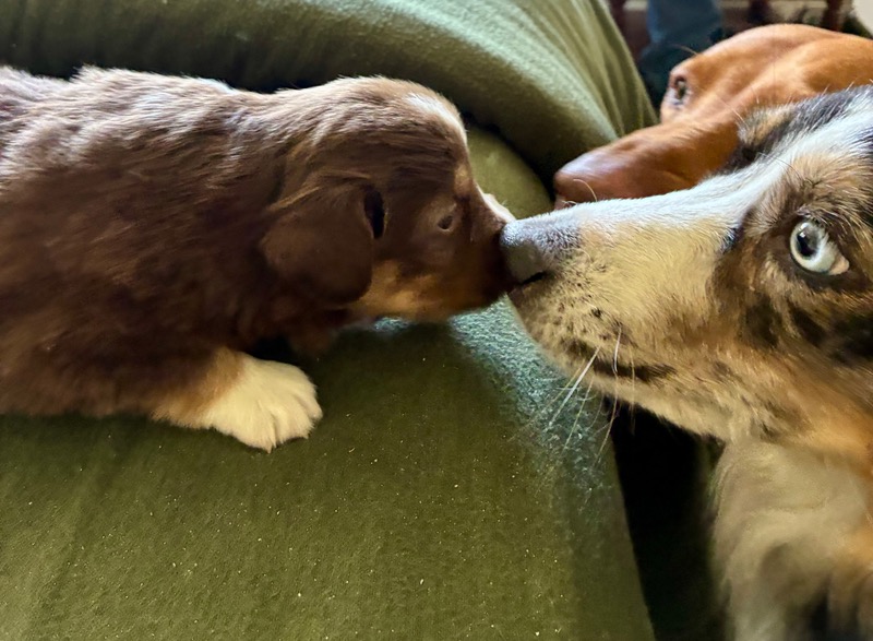 image_646393_1776713903584