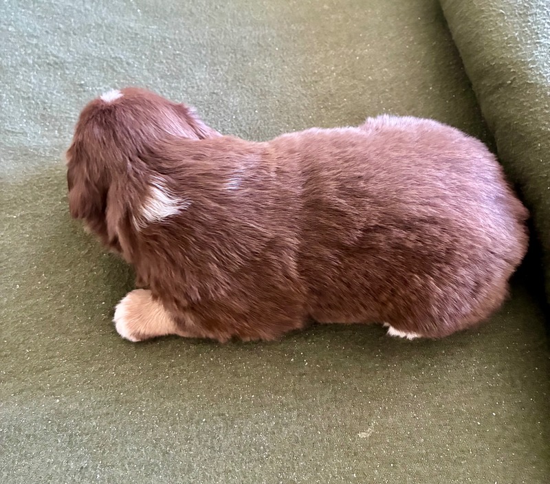 image_646393_1776713903585