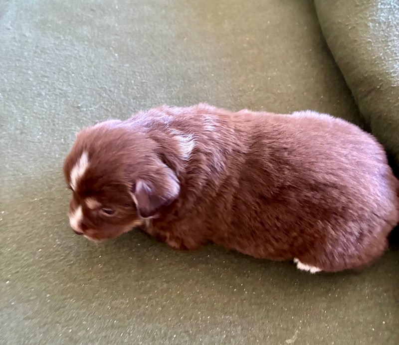 image_646393_1776713903586