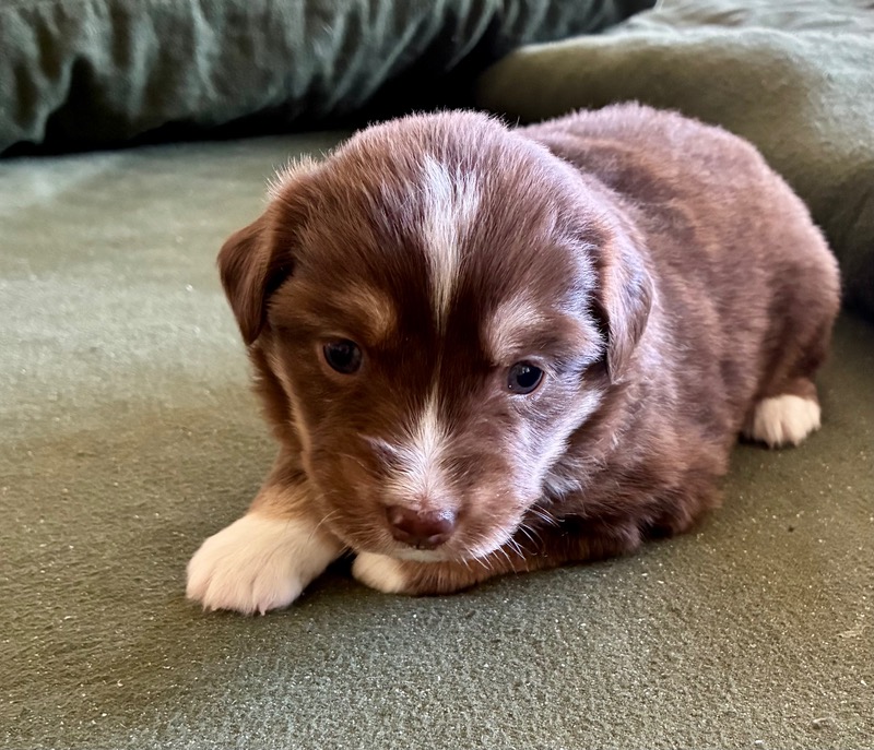 image_646393_1776713903587