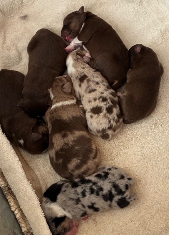 image_646393_1776713903588