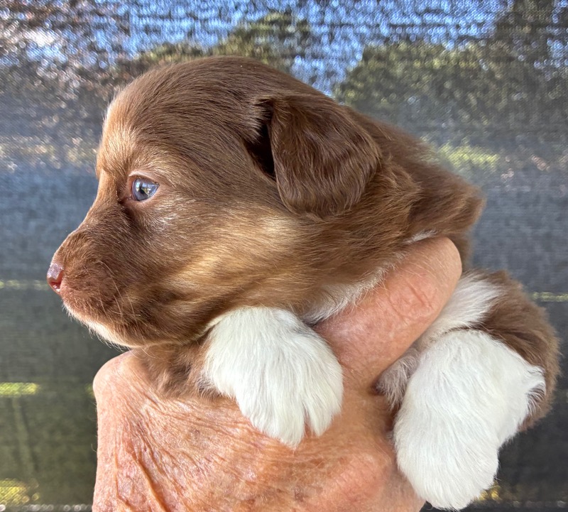 image_646394_1776714581365