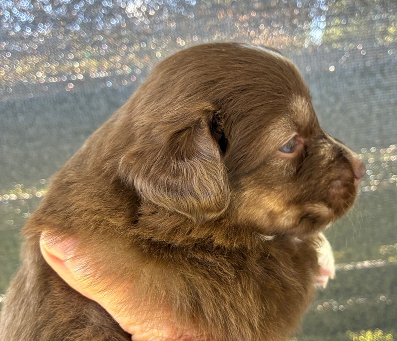 image_646394_1776714581367