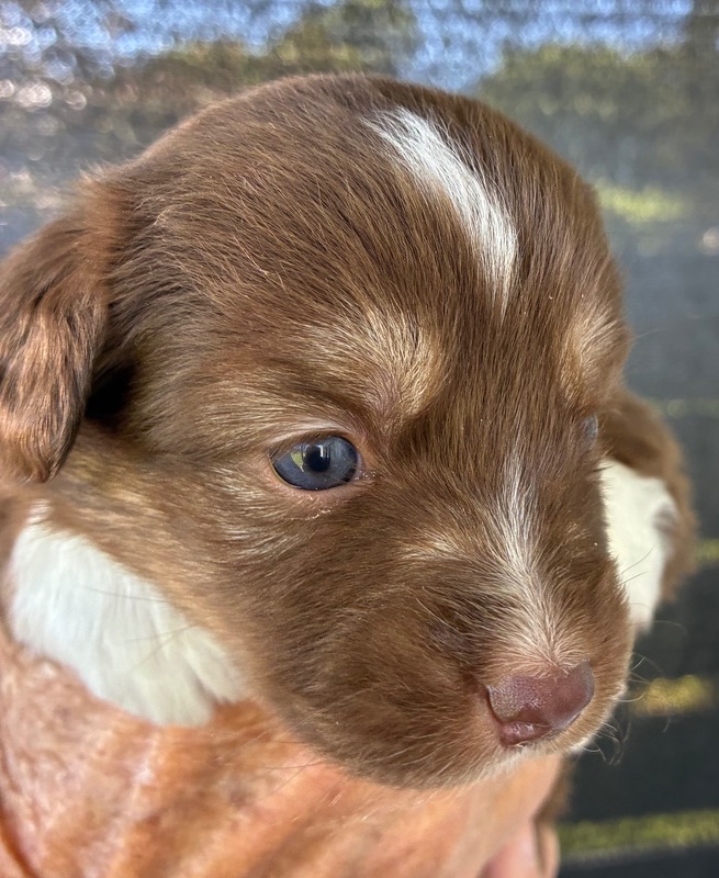 image_646394_1776714581368