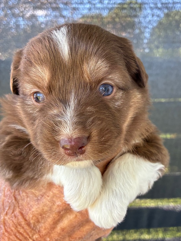 image_646394_1776714581369