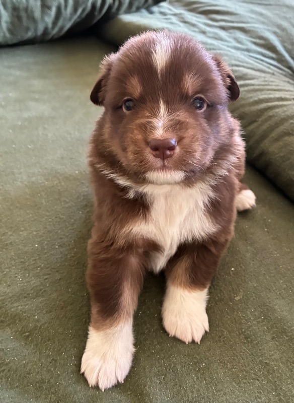 image_646394_1776714581370