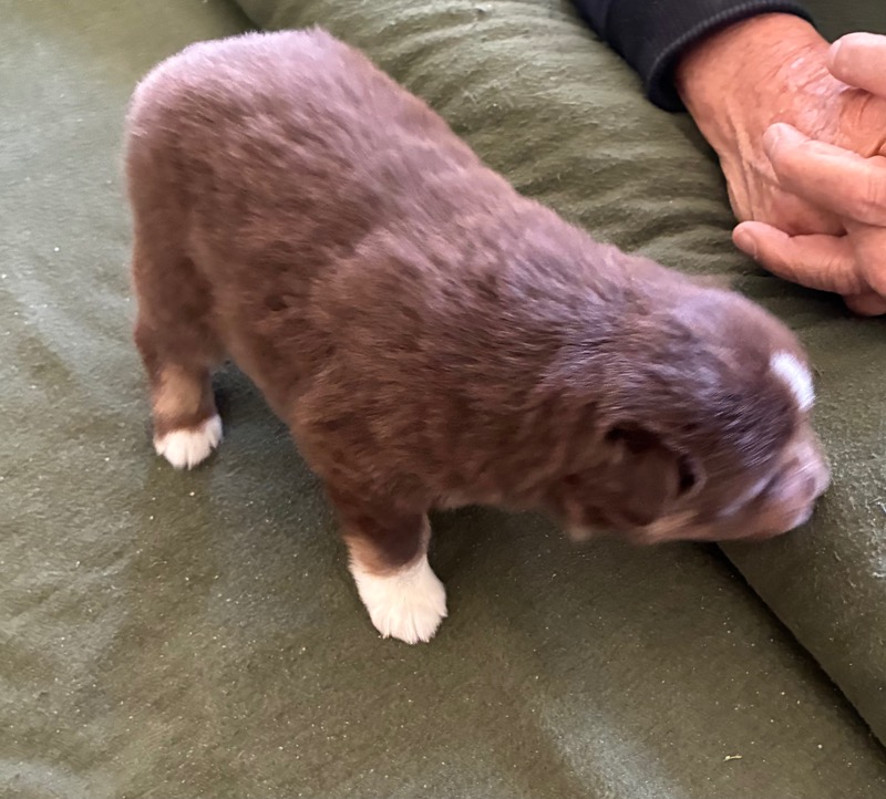 image_646394_1776714581370