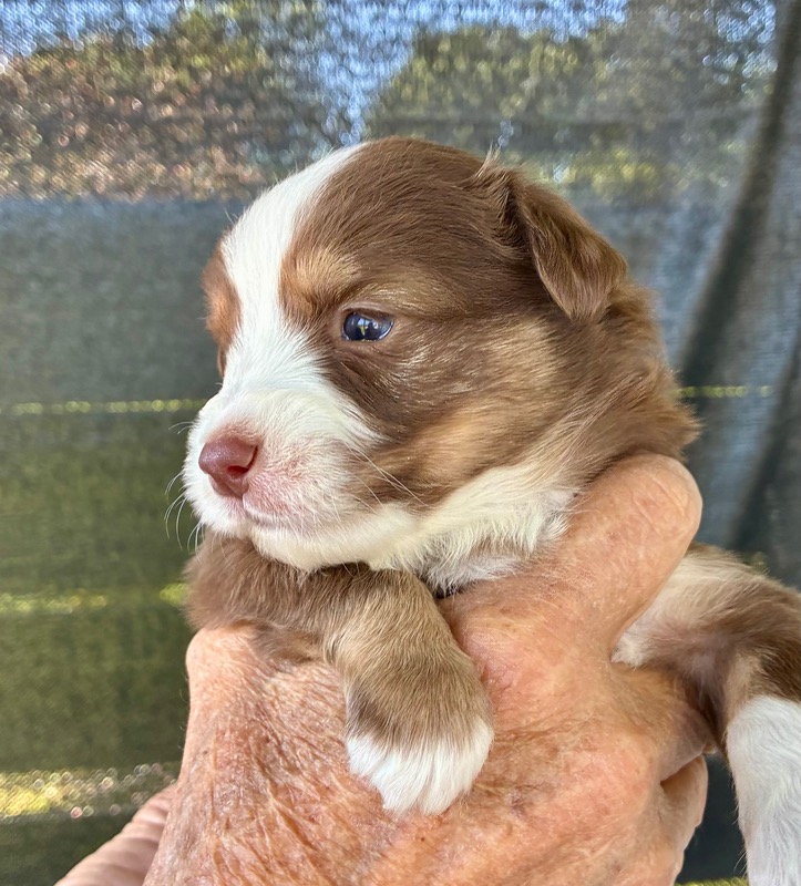 image_646390_1776714882450