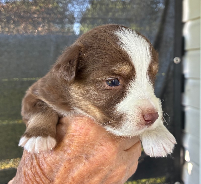 image_646390_1776714882452