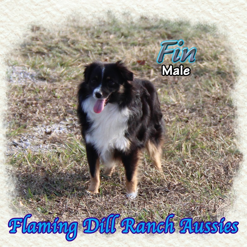 image_610900_1765353074534