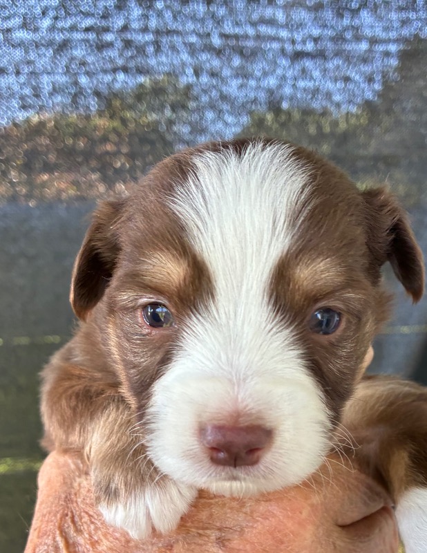 image_646390_1776714882453