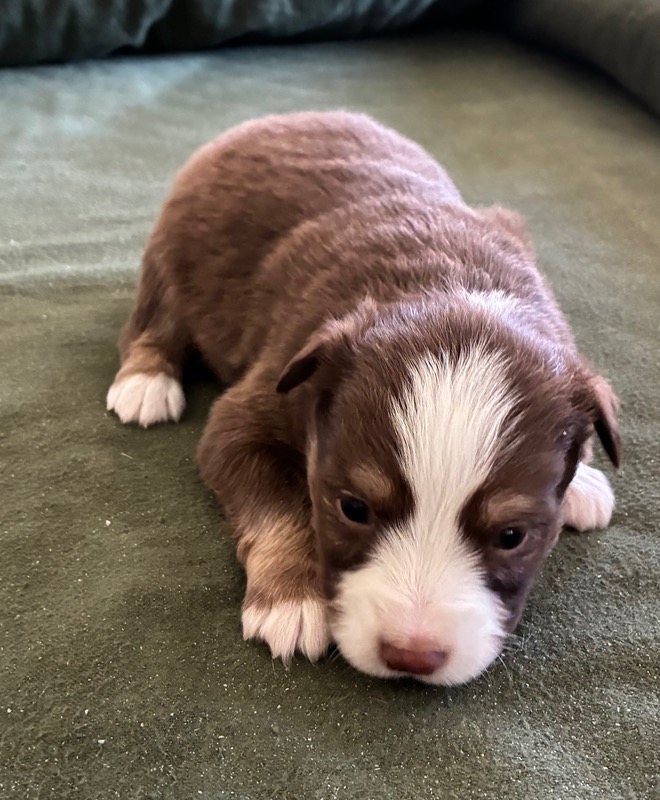 image_646390_1776714882454