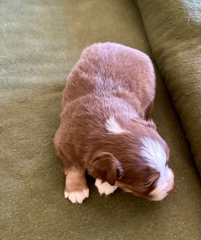 image_646390_1776714882455