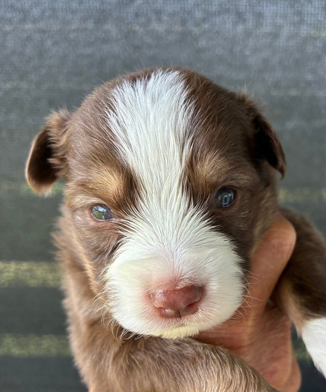 image_646390_1776714882457