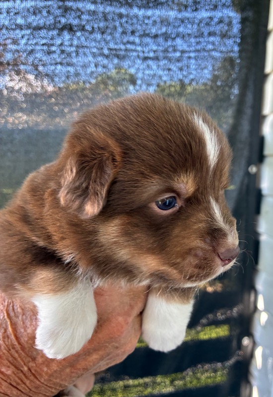 image_646391_1776715175831