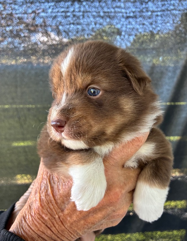 image_646391_1776715175833