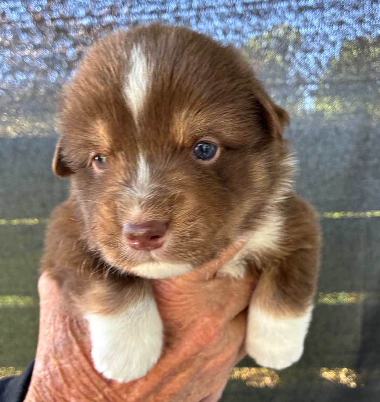 image_646391_1776715175834