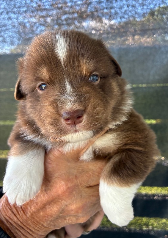 image_646391_1776715175836