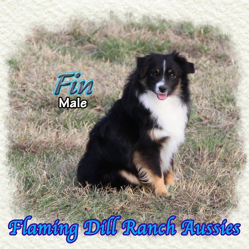 image_610900_1765353074536