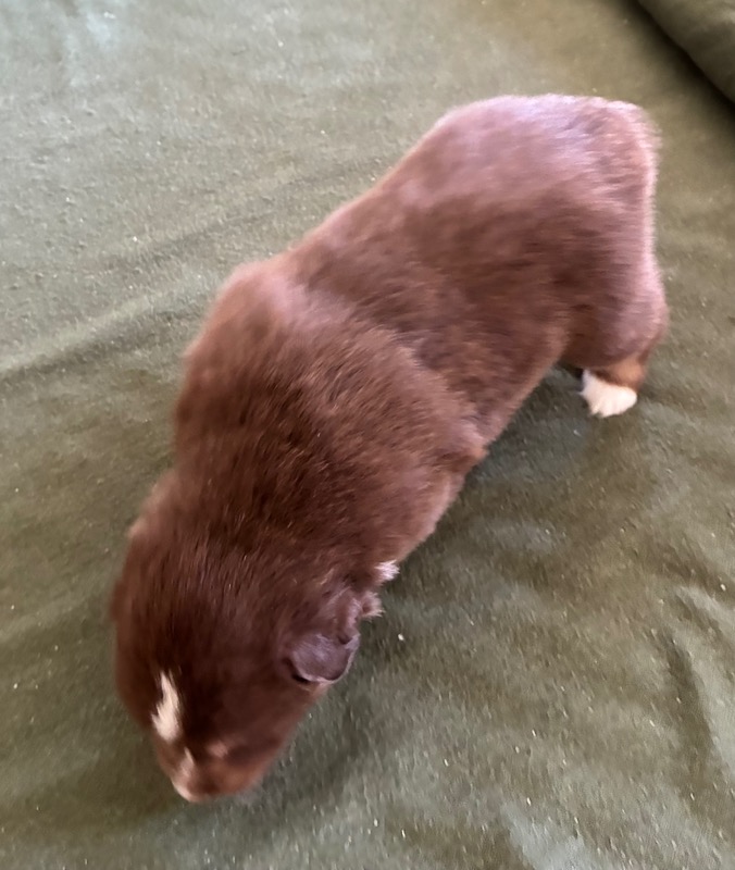 image_646391_1776715175839