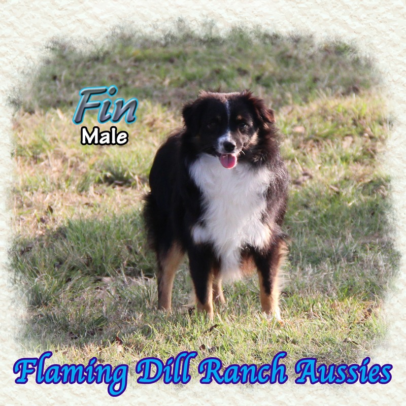 image_610900_1765353074538